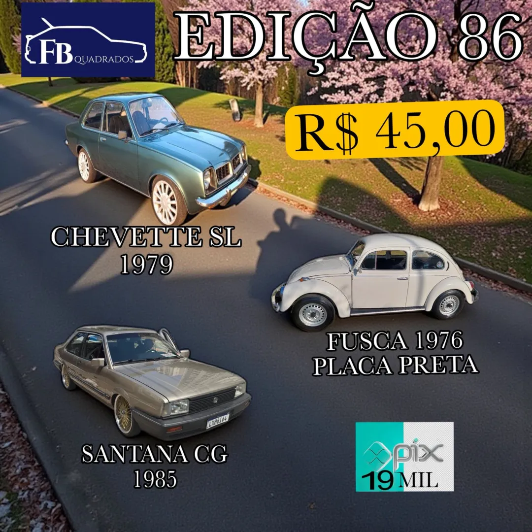 imagem-sorteadas