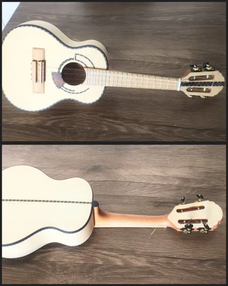 Ação 566 = cavaco ws luthier em faia