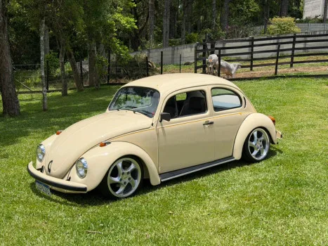 Projects Ng - Itamar 94/95 bege arena maravilhoso ou 33k no pix