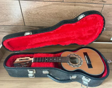 Ação 555 =cavaco rubens leão ou kit cavaco e banjo