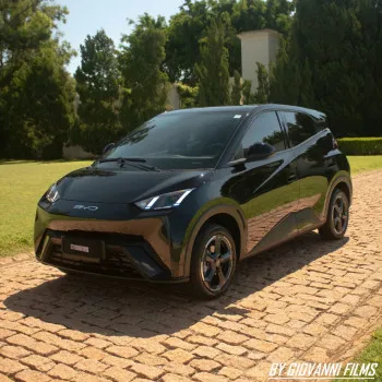 Rodrigo Custom - Byd mini douphi 100% eletrico ou 60k
