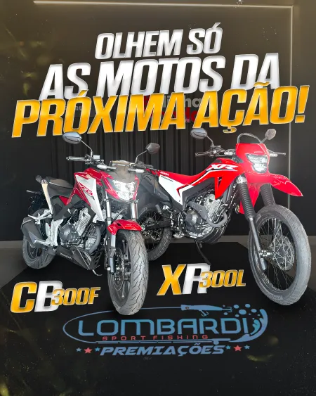André Henrique de Oliveira Lombardi - Honda cb300f twister ou honda xr300l tornado