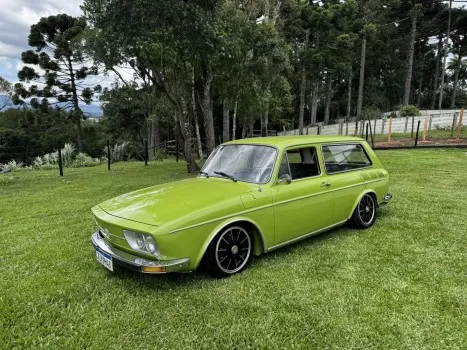 Maravilhosa variant 1974 verde hippie