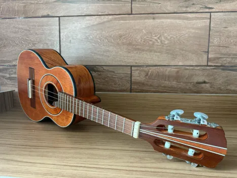 Ação 556 = cavaco ou banjo, o ganhador escolhe