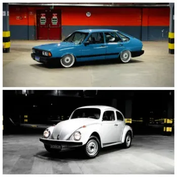 10°rifinha da ação tubarão 265