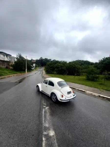 A??o 134 fusca 1973 patyna style