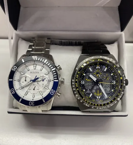 Watch.sanca - Relógio citizen ou bulova ou 2.500 no pix