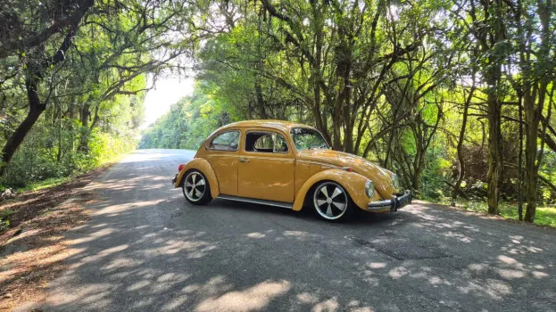 jonsgarage.com.br - 39ªação jons garage fusca l 1978 placa preta r$49