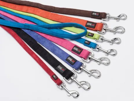 Carolina de Campos Freitas ME - Coleira dogline importada