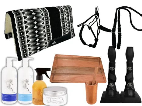 Acao do Valle - Kit completo para cavalo e cavaleiro