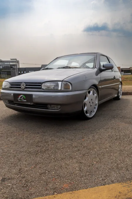 Gol bola cinza andino