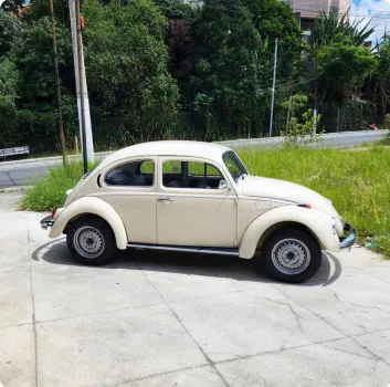 109° ação fusca 1979 branco lótus