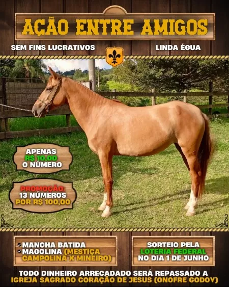 Ação sem fins lucrativos