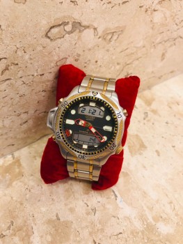 citizen c500 série ouro