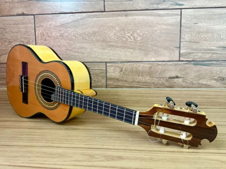 Ação 604 = cavaco ou banjo